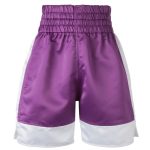 Kick Boxing Shorts