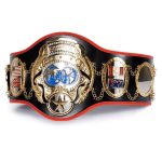 MMA Belts